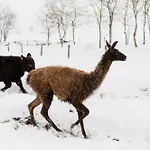 Дом отдыха Kosa Estate Штурово